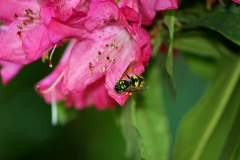 FB_IMG_1579802577310