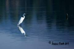 FB_IMG_1579802825524