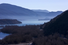 IMG_6459-1