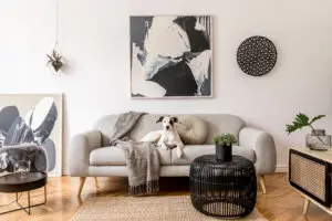Espacio de estar con materiales naturales y perro descansando, diseño pet-friendly