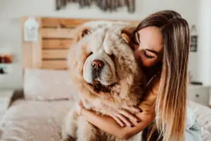 mujer abrazando a Chow Chow en dormitorio